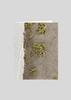 Green Pod Heart Greeting Card (Pack of 5)