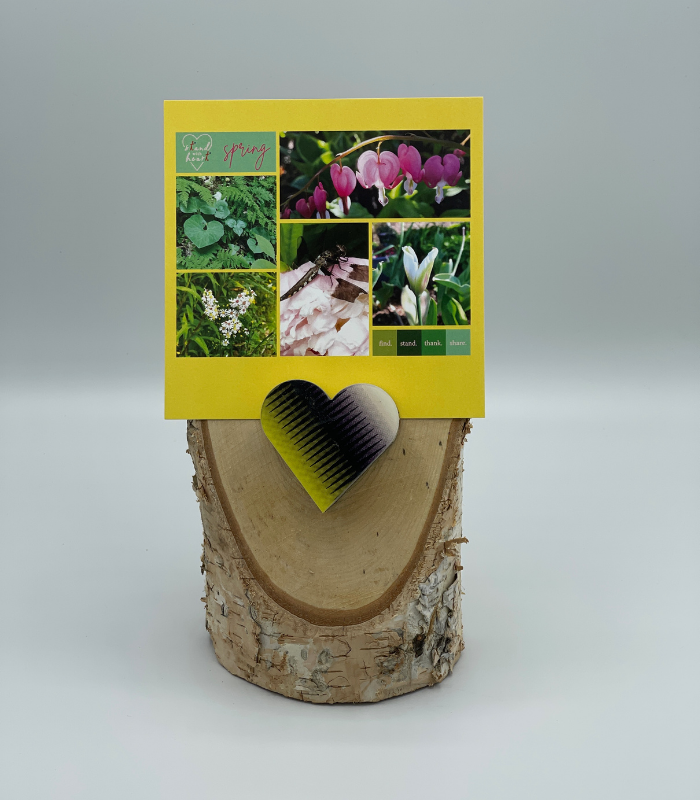 Birch Stand with Upcycled Michelle Ski Heart & Collage (Large)
