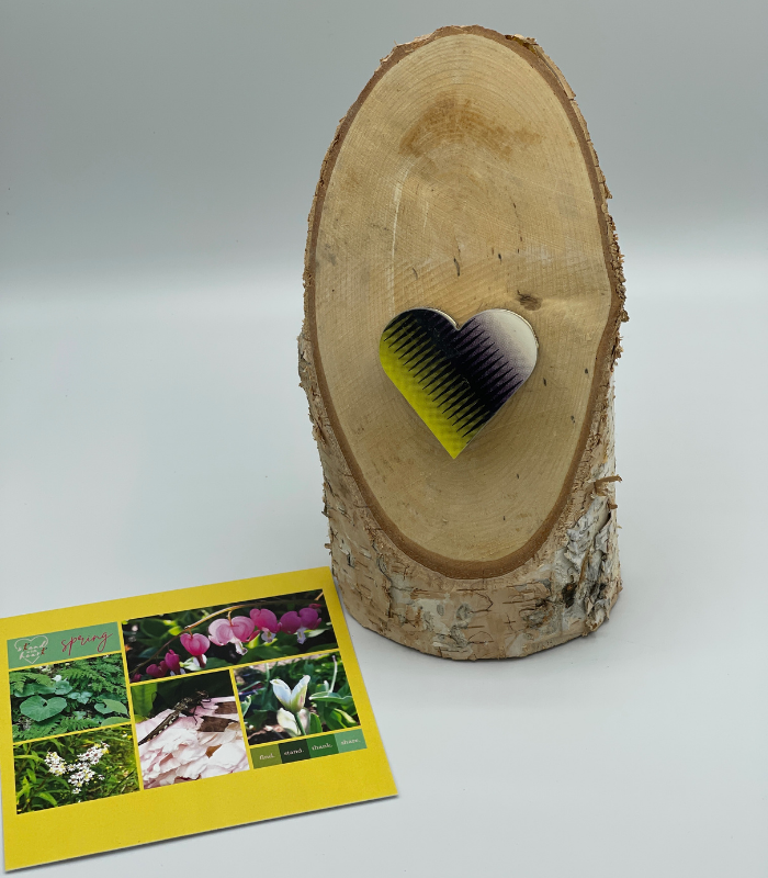 Birch Stand with Upcycled Michelle Ski Heart & Collage (Large)