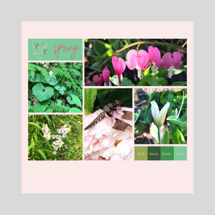Spring Collage Pink