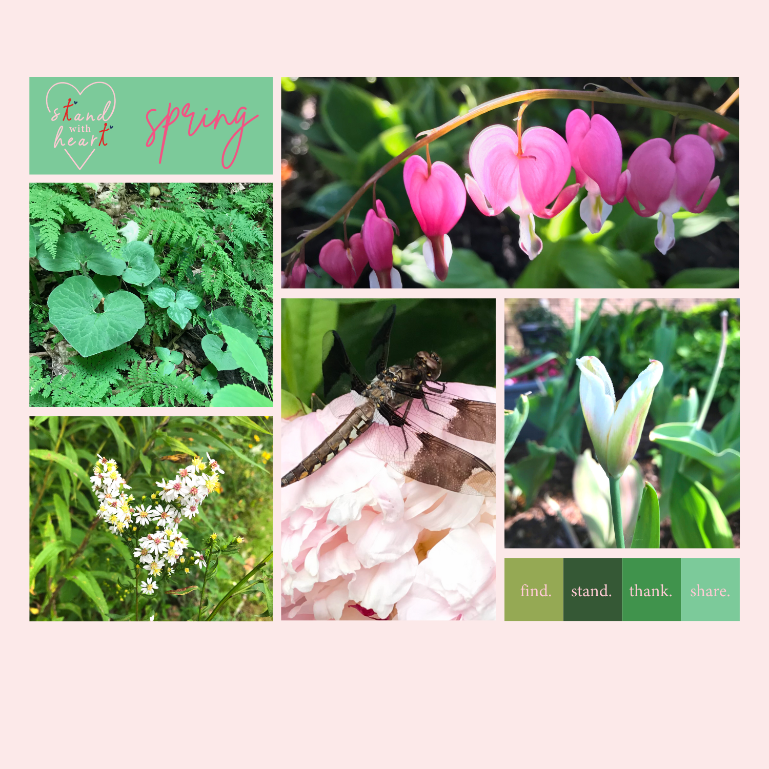 Spring Collage Pink