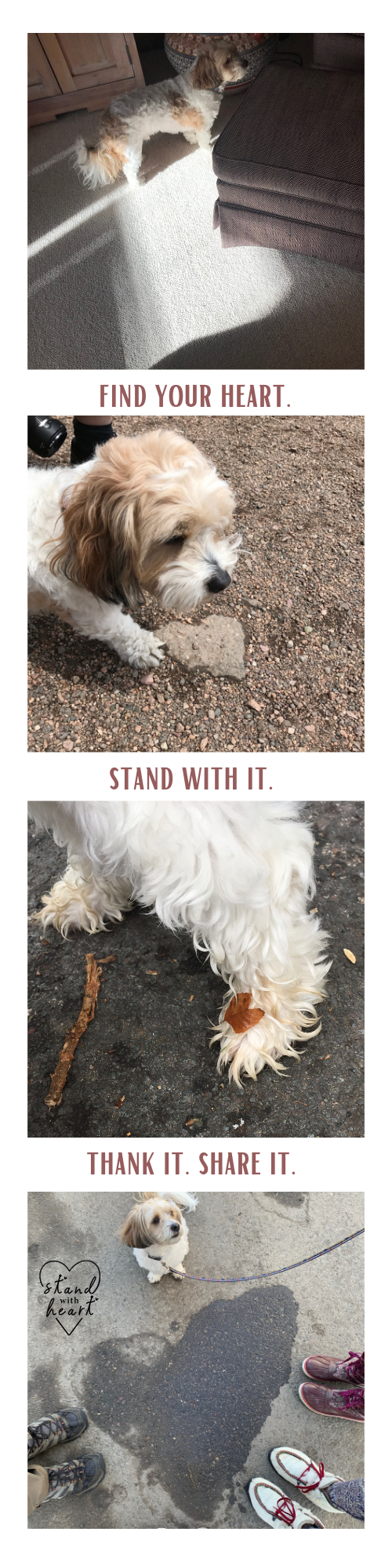 Dog Bookmark