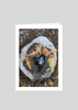 heart-in-stump