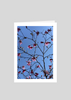 Flowering Tree Branches Heart Greeting Card