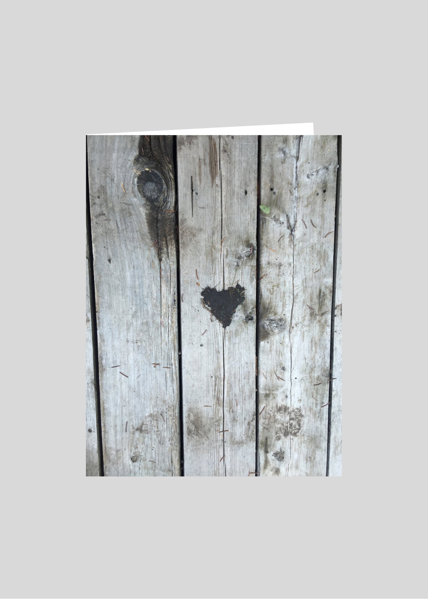 greeting card original photography heart nature