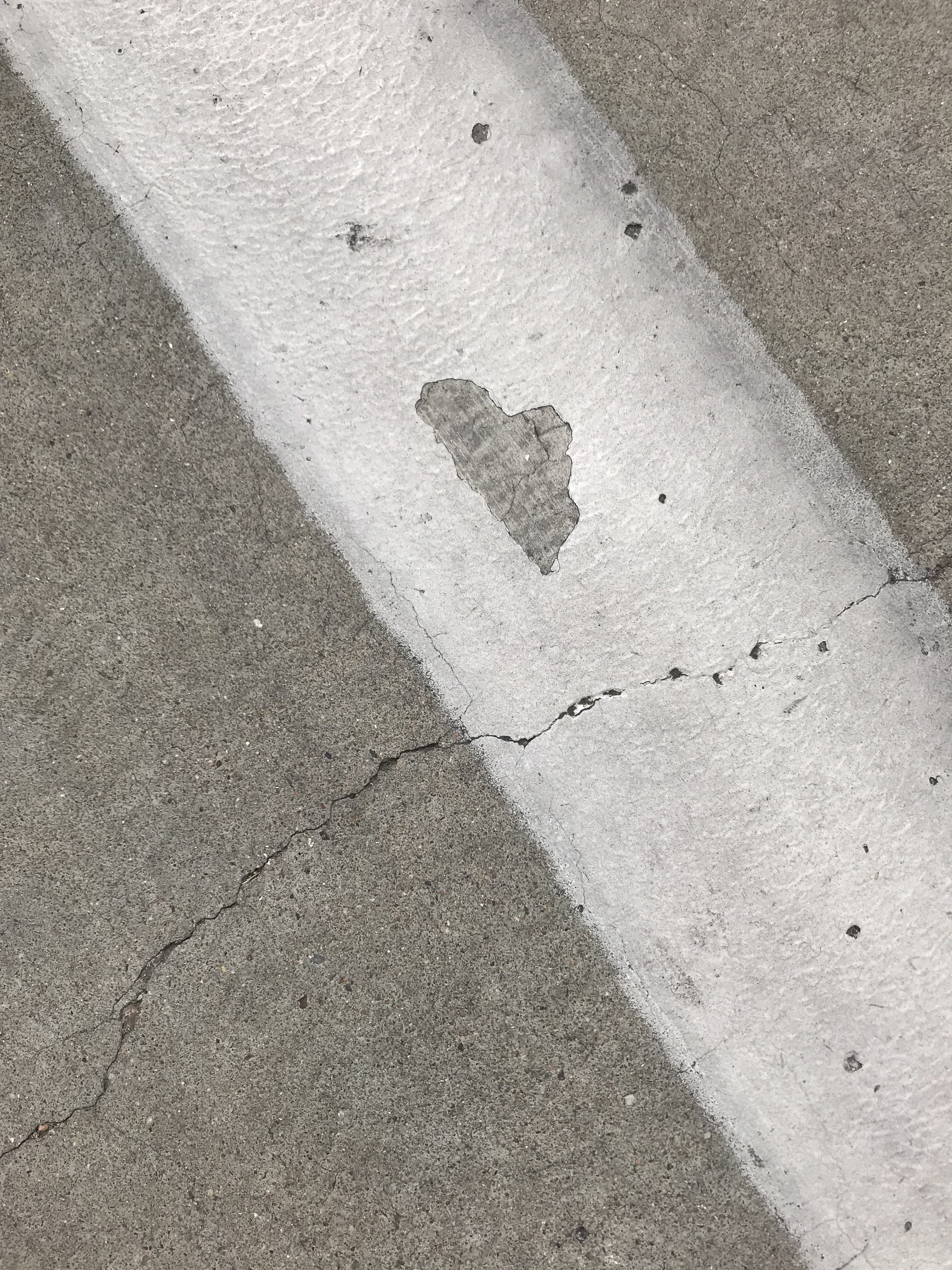 original fine art photography print of a heart in nature