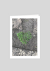 Moss Heart Greeting Card