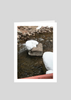 River Rock Snow Heart Greeting Card