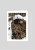 Heart in Wood Greeting Card